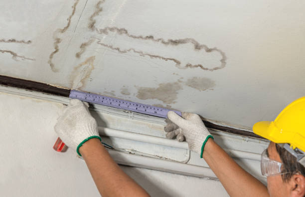 Reliable Sewage Cleanup contractor in Big Rapids, MI by Water Damage Irwin